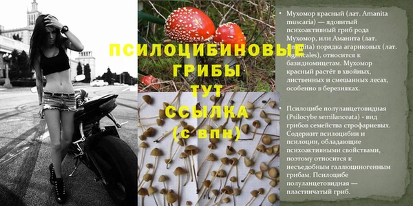 гашиш Алексин
