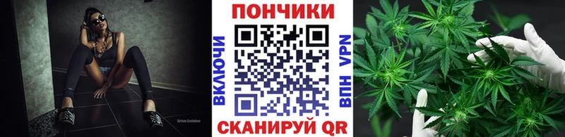 kraken зеркало  Алагир  Марихуана план 
